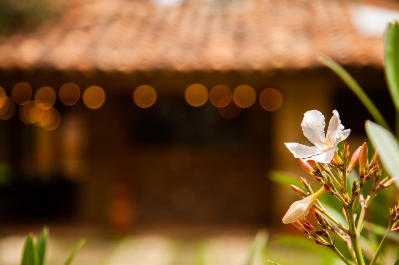 Clavellino House En Villa De Leyva - Tranquilidad Y Naturaleza En Reserva Natural Urbana! Exteriér fotografie