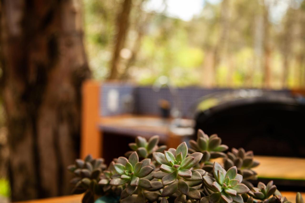 Clavellino House En Villa De Leyva - Tranquilidad Y Naturaleza En Reserva Natural Urbana! Exteriér fotografie