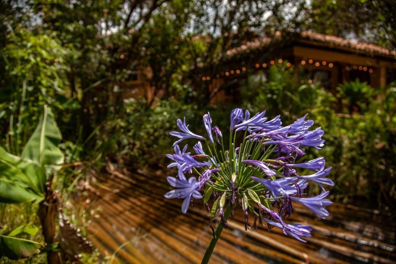Clavellino House En Villa De Leyva - Tranquilidad Y Naturaleza En Reserva Natural Urbana! Exteriér fotografie